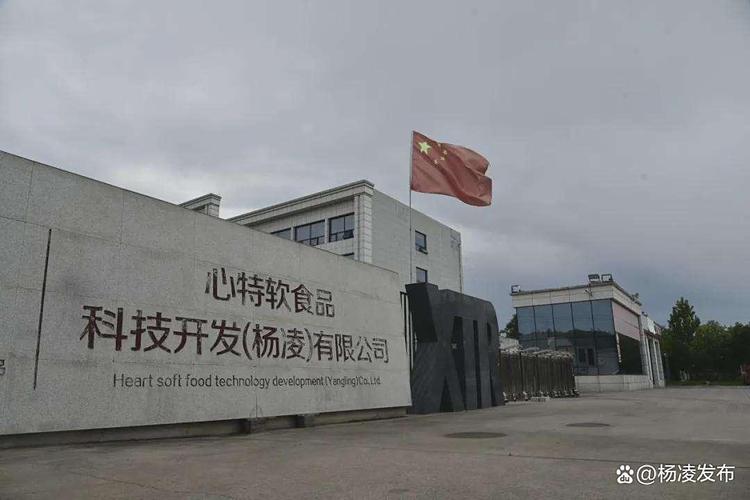 楊凌心特軟食品:致力打造糕點(diǎn)行業(yè)"樣板工廠"